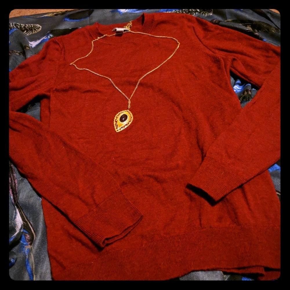 Red merino wool gap crew neck weater